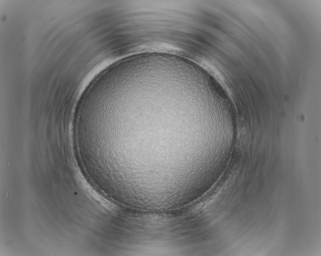 X0000088020947200705251048