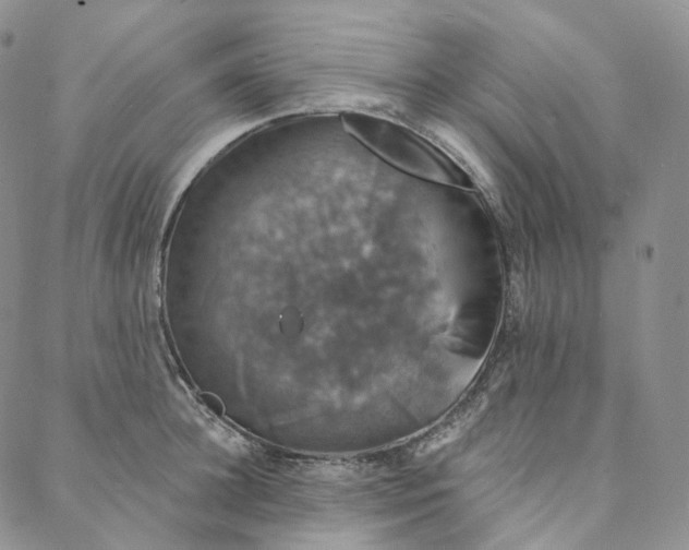 X0000088020948200705251048