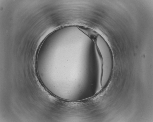 X0000088020949200705251048