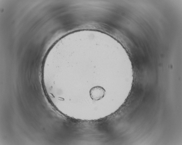 X0000088020950200705251048