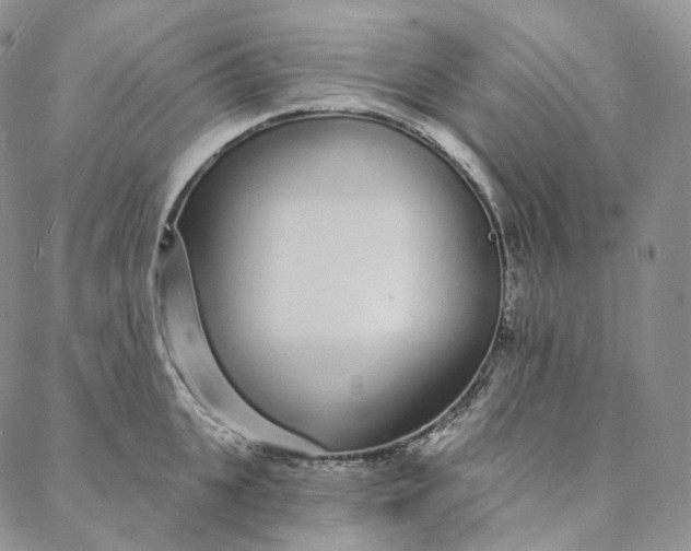 X0000088020951200705251048