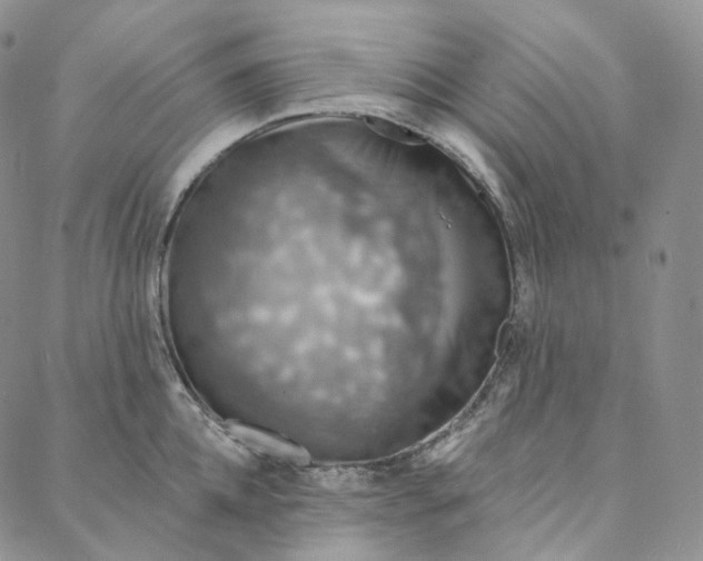 X0000088020952200705251048