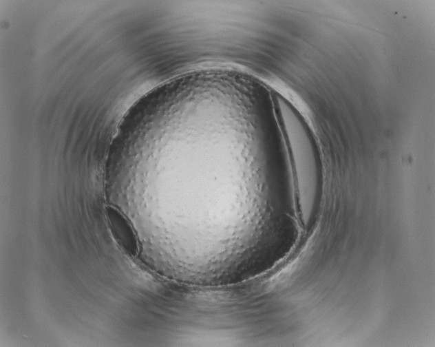 X0000088020953200705251048