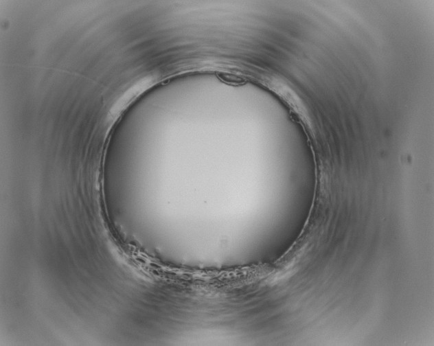 X0000088020954200705251048