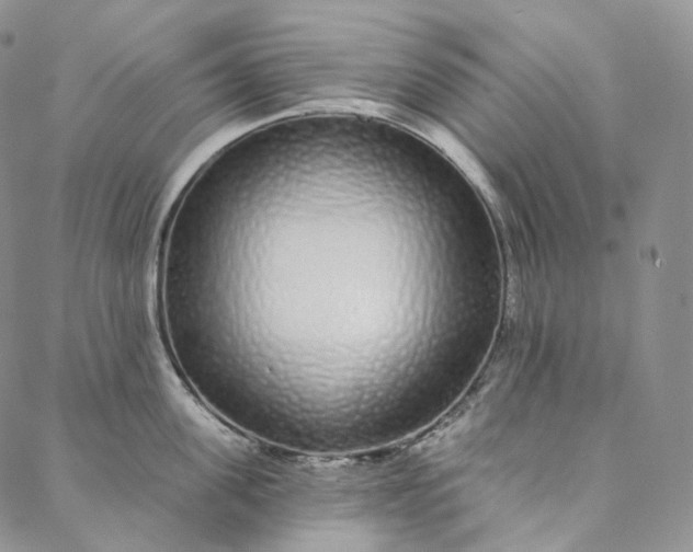 X0000088020955200705251048