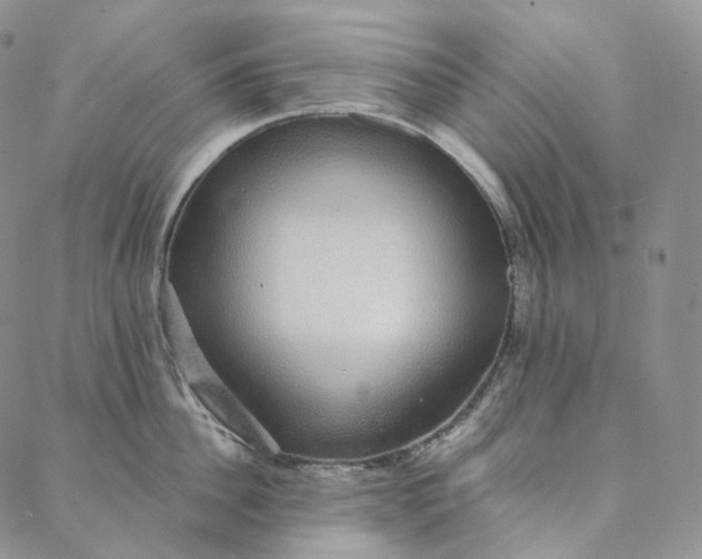 X0000088020956200705251048