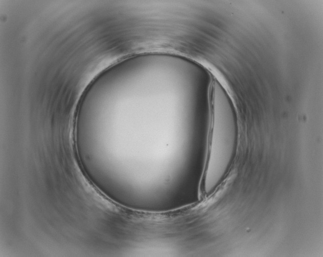 X0000088020957200705251048