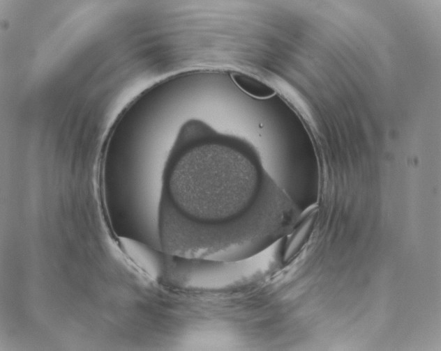 X0000088020958200705251048