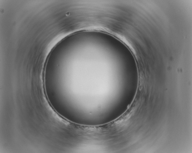 X0000088020959200705251048