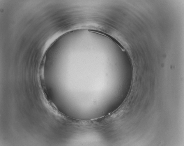 X0000088020960200705251048