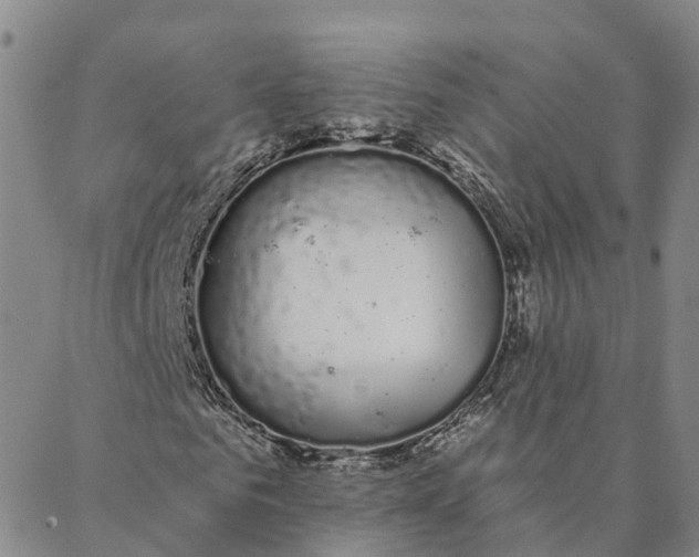 X0000088020961200705251048