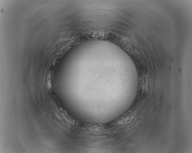 X0000088020962200705251048