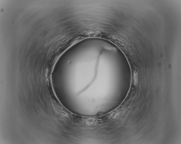 X0000088020963200705251048