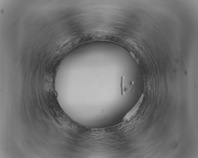 X0000088020964200705251047