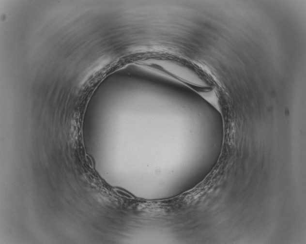 X0000088020967200705251047