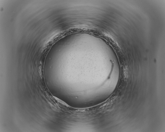 X0000088020968200705251047