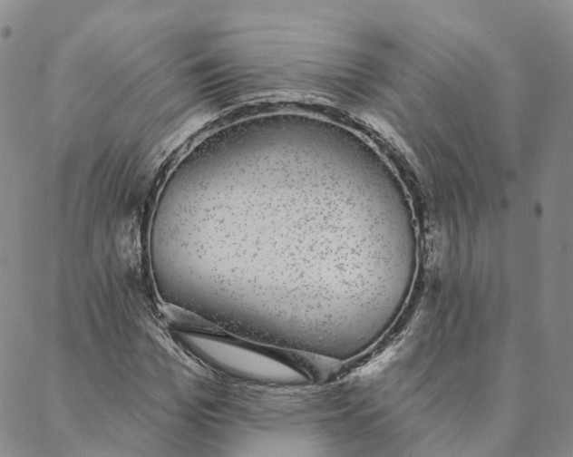 X0000088020969200705251047