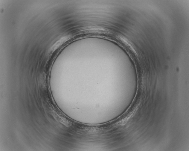 X0000088020970200705251047