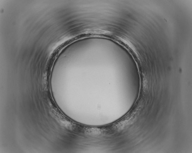 X0000088020971200705251047