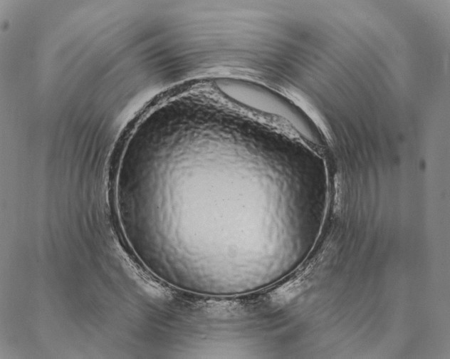 X0000088020972200705251047