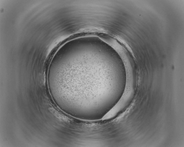 X0000088020973200705251047