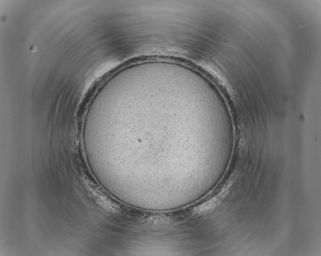 X0000088020974200705251047