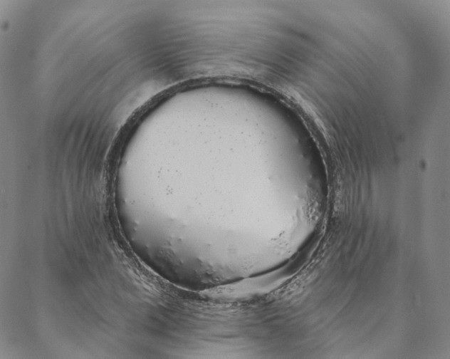 X0000088020975200705251047