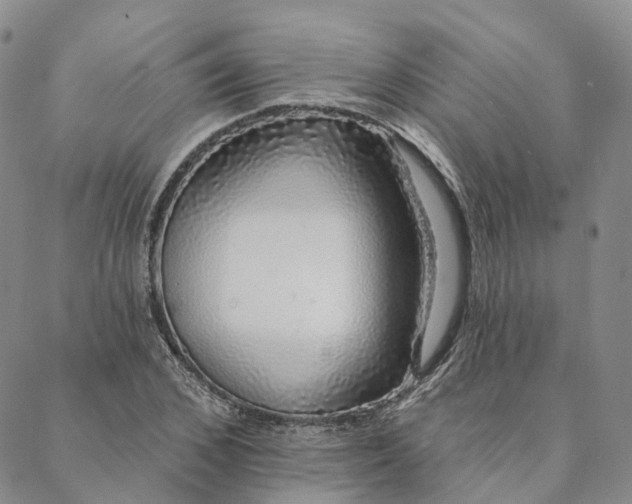 X0000088020976200705251047