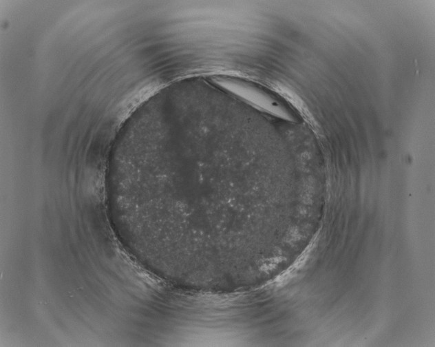 X0000088020977200705251047