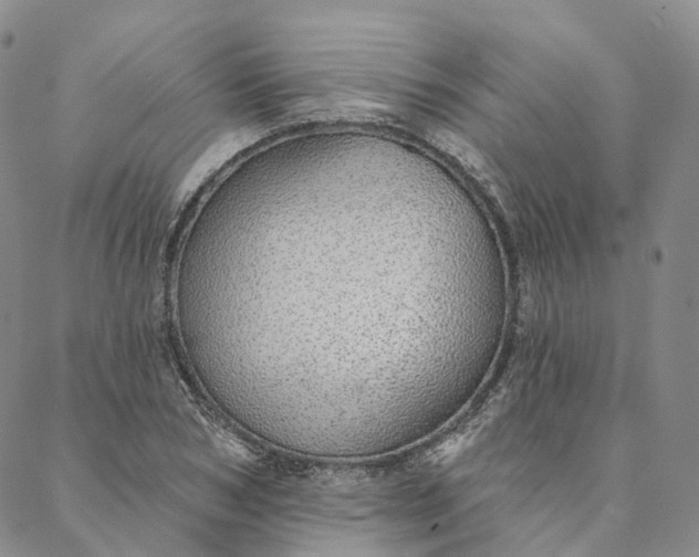 X0000088020978200705251047