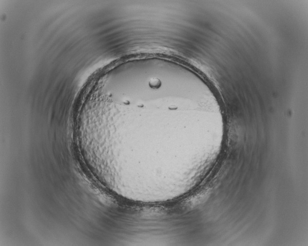 X0000088020979200705251047