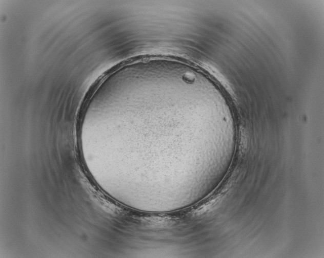 X0000088020980200705251047