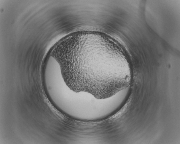 X0000088020981200705251047