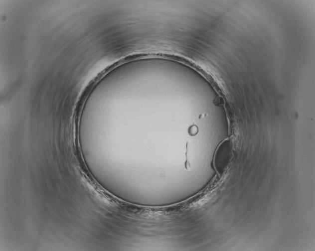 X0000088020982200705251047