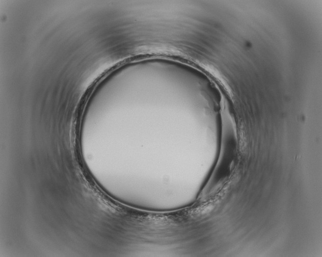 X0000088020983200705251047