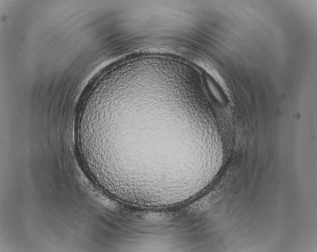 X0000088020984200705251047