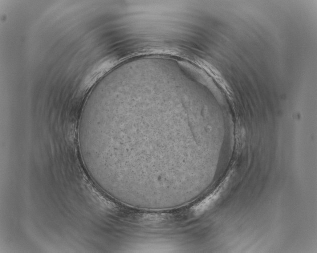 X0000088020985200705251047