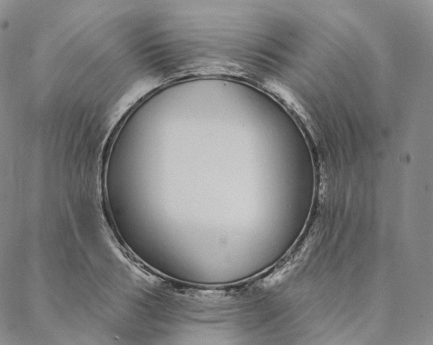 X0000088020986200705251047