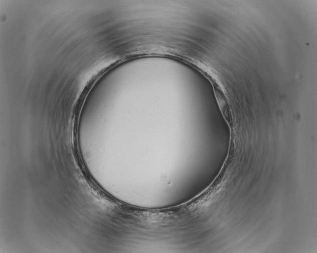 X0000088020987200705251047