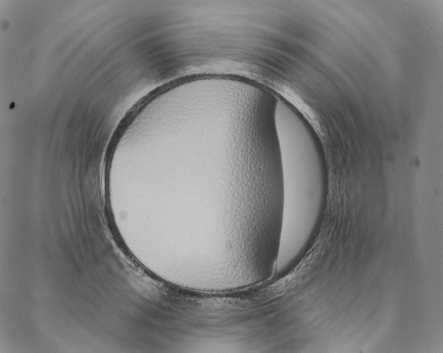 X0000088020988200705251047