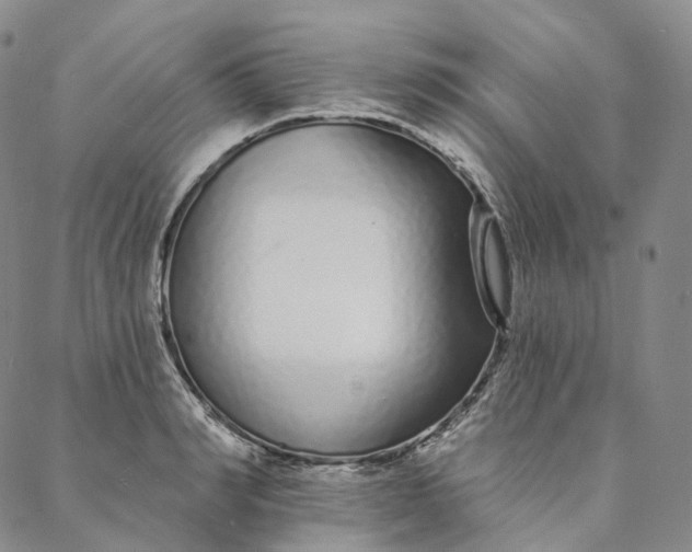 X0000088020990200705251047