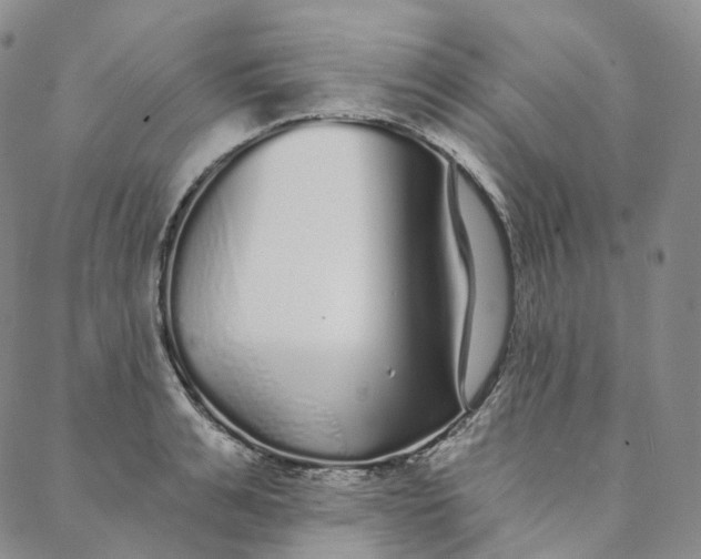 X0000088020991200705251047