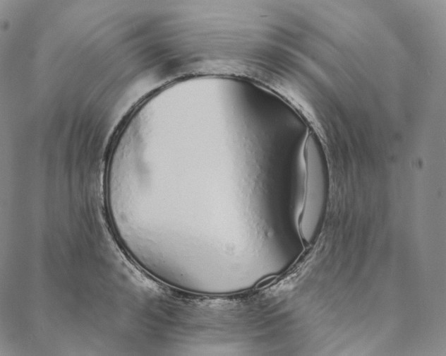 X0000088020992200705251047