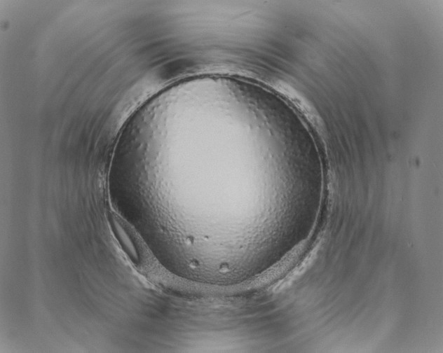 X0000088020993200705251047