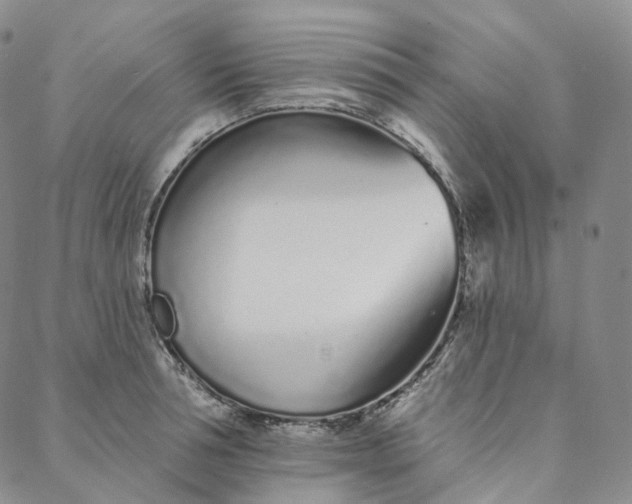 X0000088020994200705251047