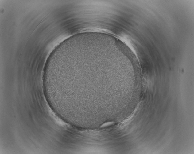 X0000088020995200705251047