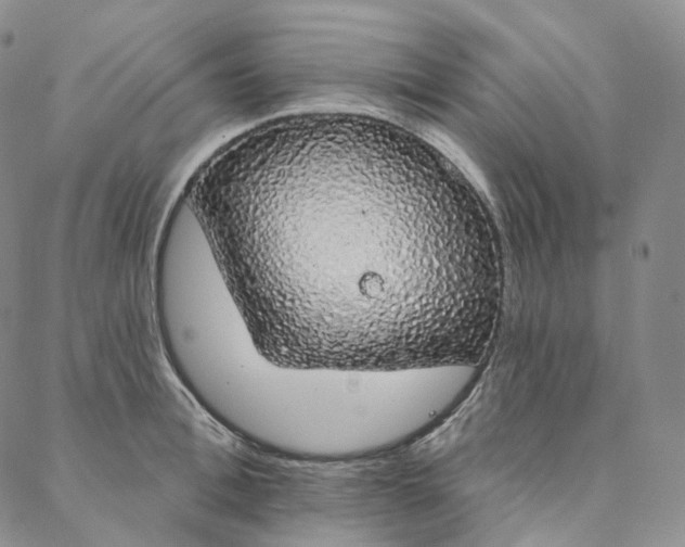 X0000088020996200705251047