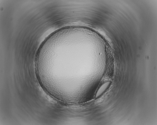 X0000088020998200705251047