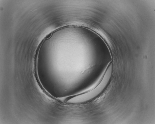 X0000088020999200705251047