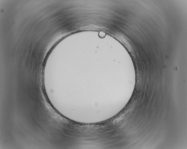 X0000088021000200705251047